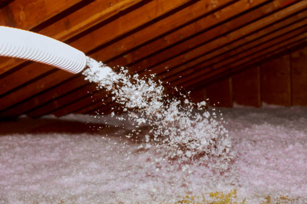 Types of Insulation We Offer in Brunswick, GA
